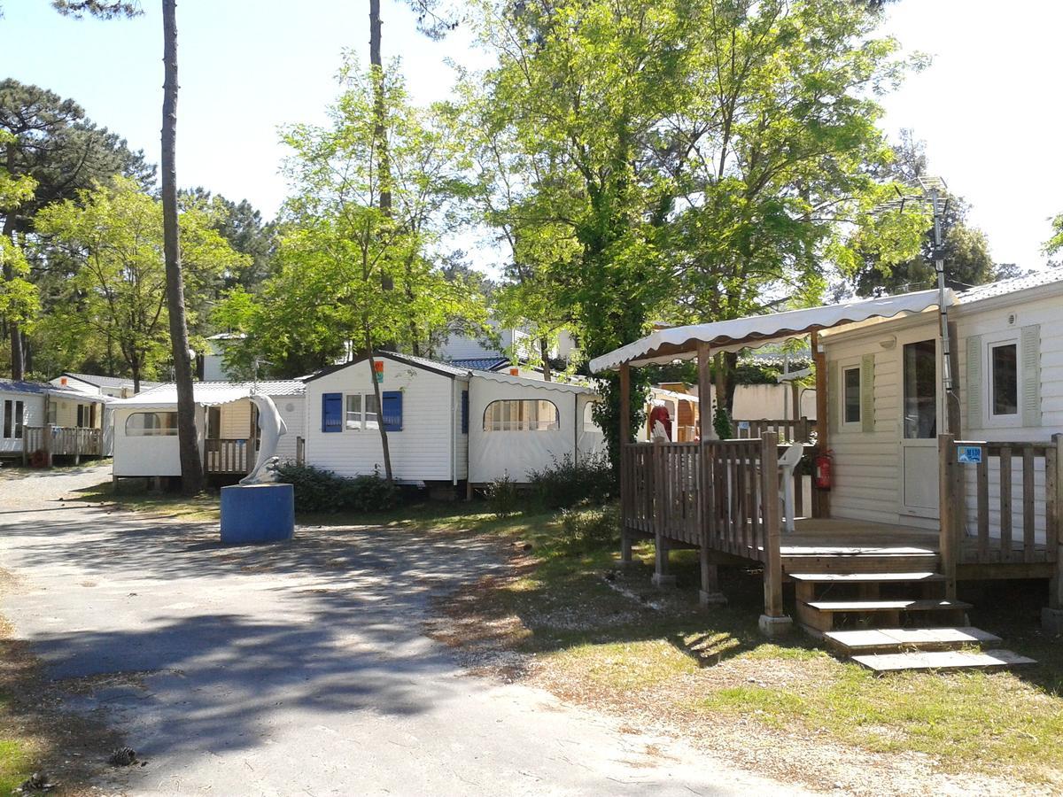 Camping Le Dauphin 호텔 생죠지드디돈느 외부 사진